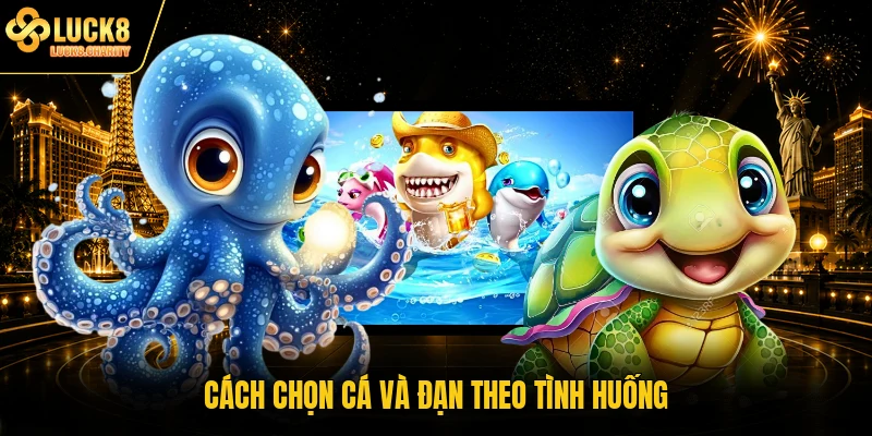Cách chọn cá và đạn theo tình huống