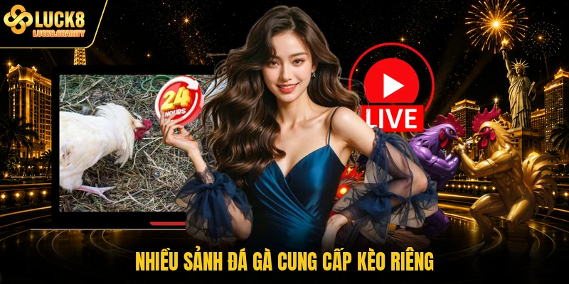 Nhiều sảnh đá gà cung cấp kèo riêng
